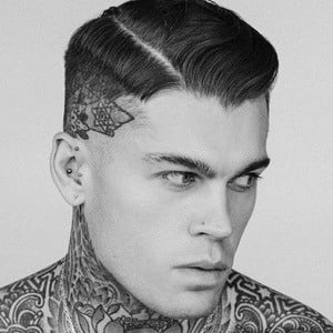 Stephen James Hendry