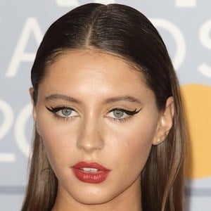 Iris Law